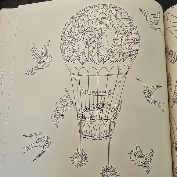 Animal Kingdom and Enchanted Forest Coloring Book (Set of 2) - Picture 13 of 14